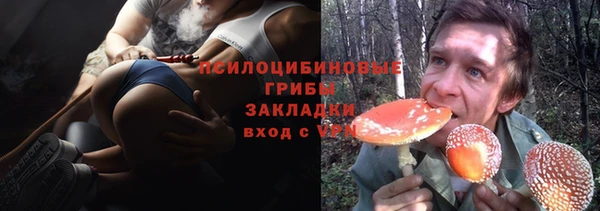 PSILOCYBIN Аркадак