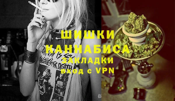 PSILOCYBIN Аркадак