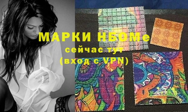стаф Баксан