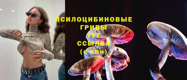 ПСИЛОЦИБИНОВЫЕ ГРИБЫ Арсеньев